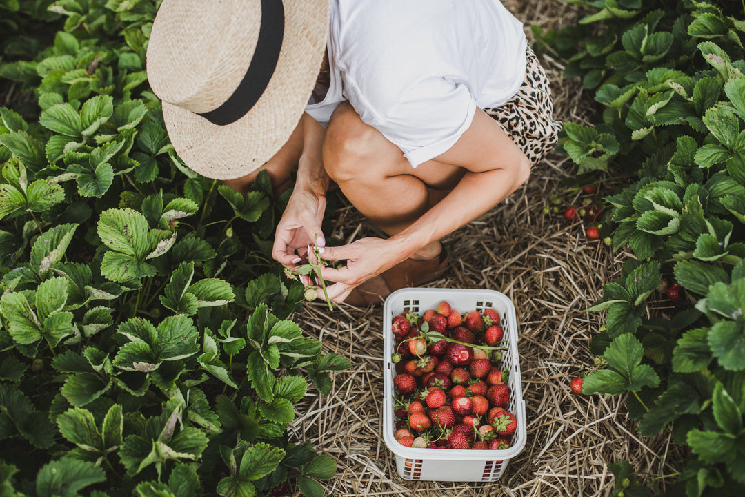 Potent vitamins and supplements free from excipients